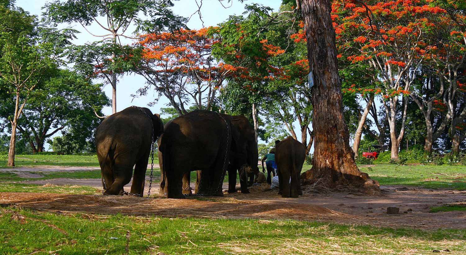 top-10-adventure-sports-destinations-in-india-thrillvista